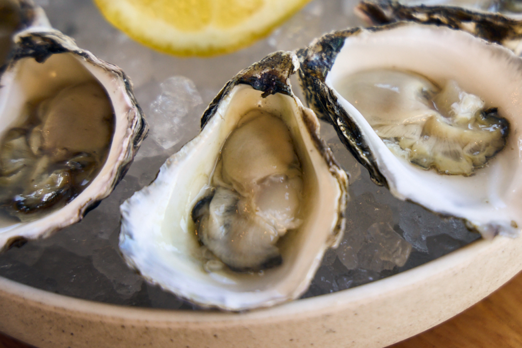 Baxter Oysters